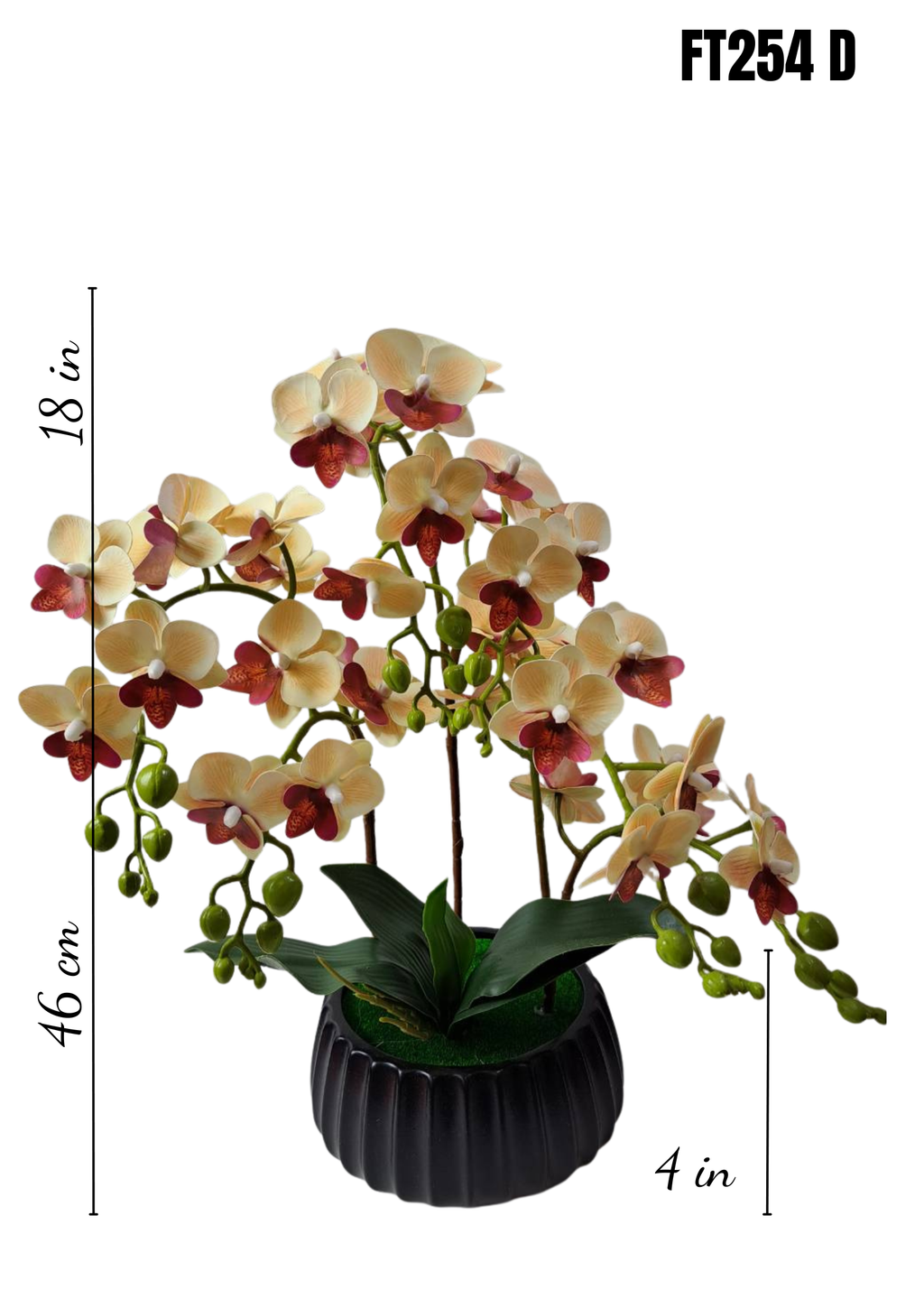 FT254D faux cream burgundy orchid arrangement 18in height 4in black ribbed pot