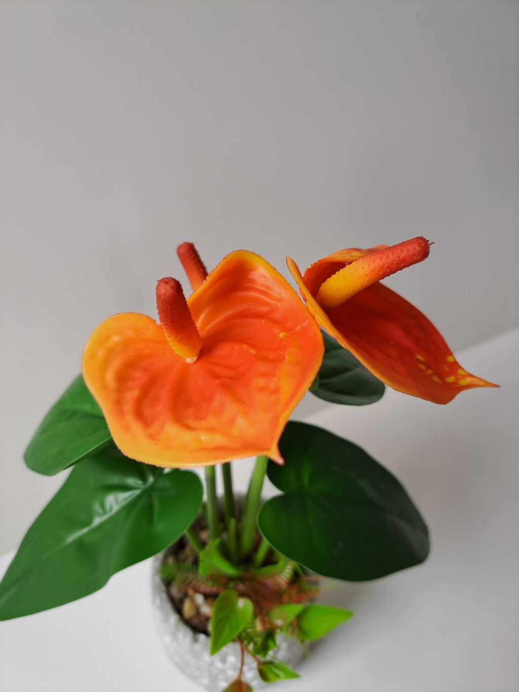 Faux orange anthurium close-up blooms with dark green leaves
