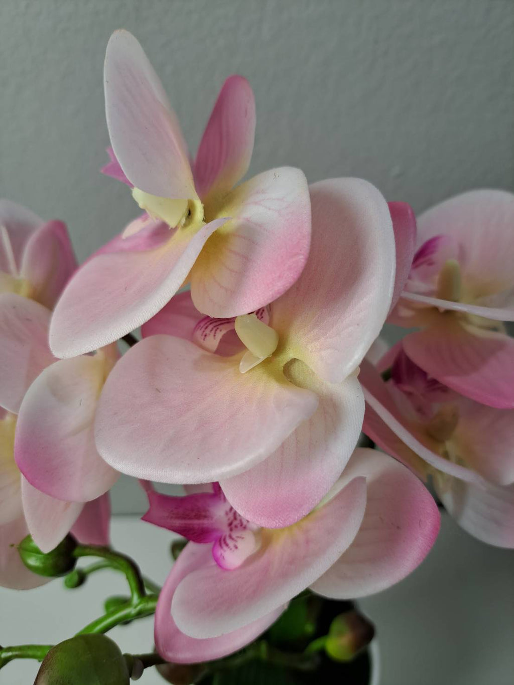 Faux pink orchid bloom close up detail