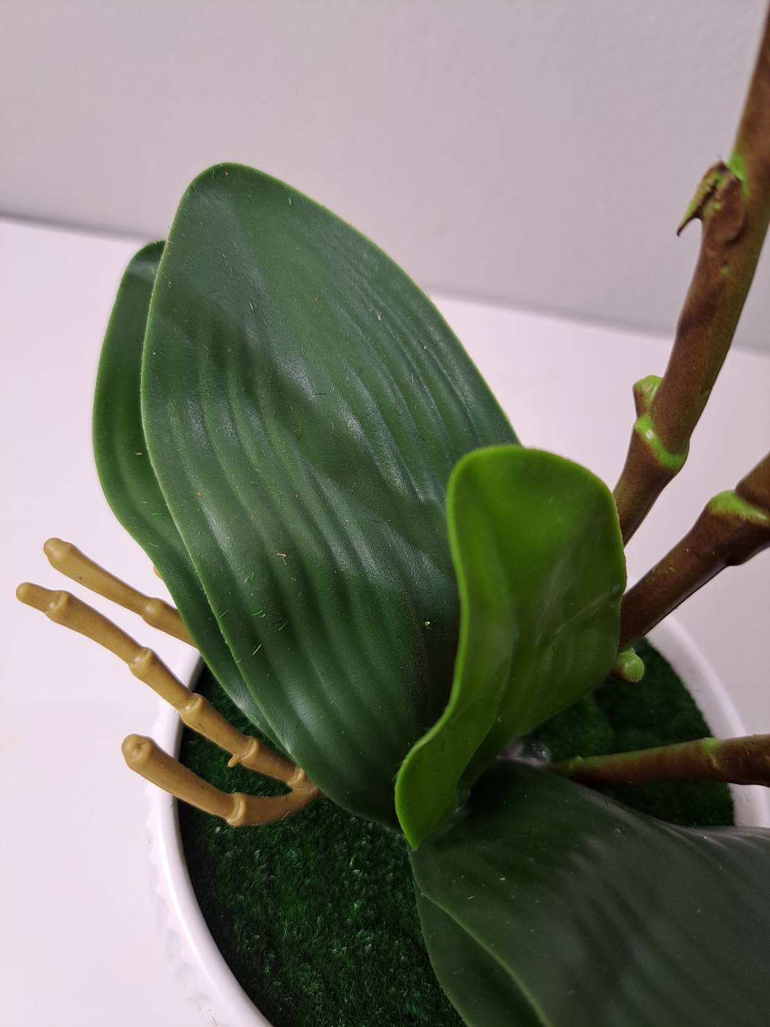 Faux orchid close up detail - green leaves and roots