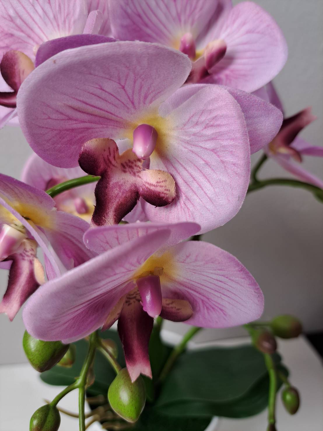 Faux pink orchid close-up flowers