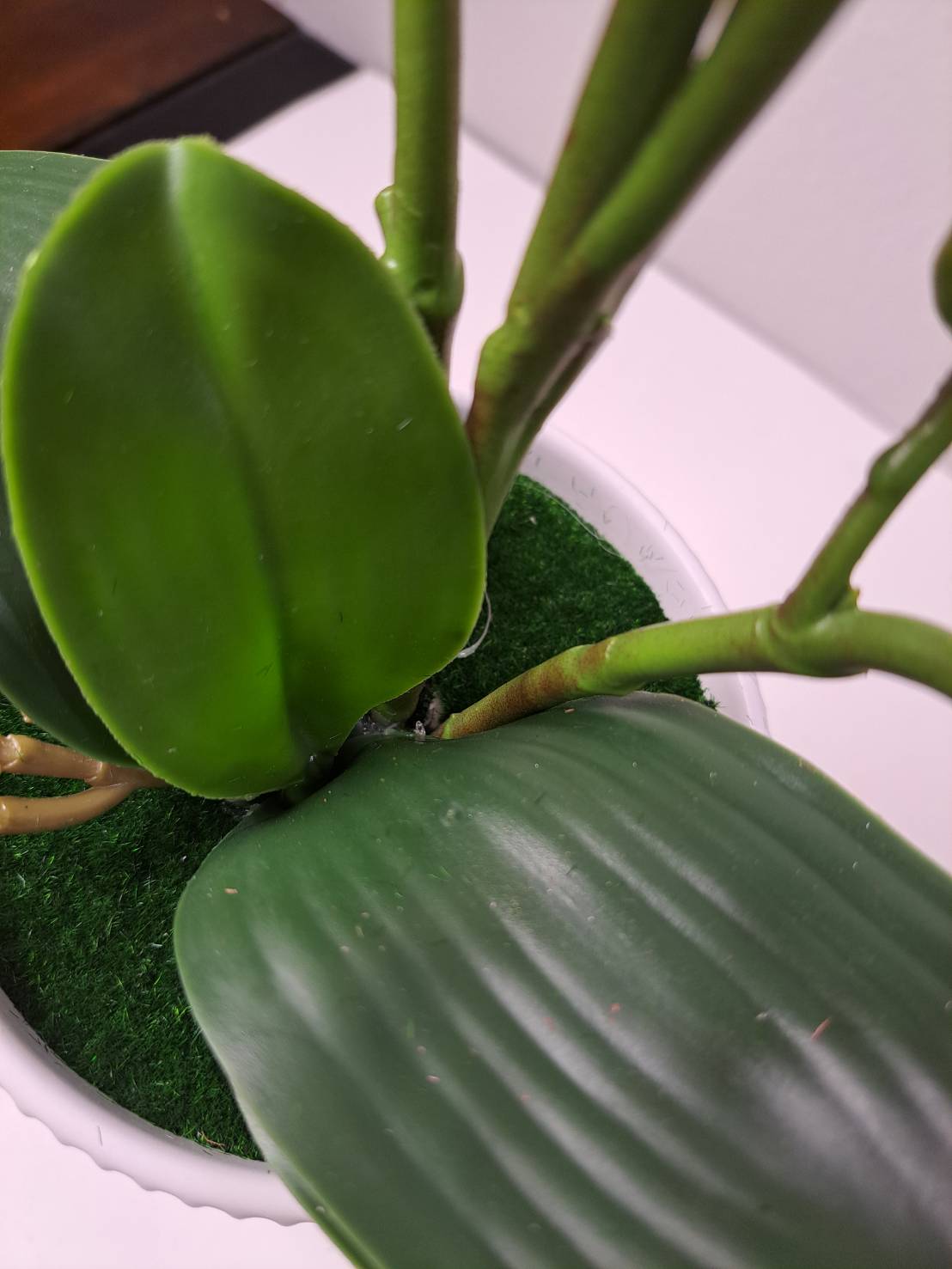 Faux orchid leaves and stems in white pot