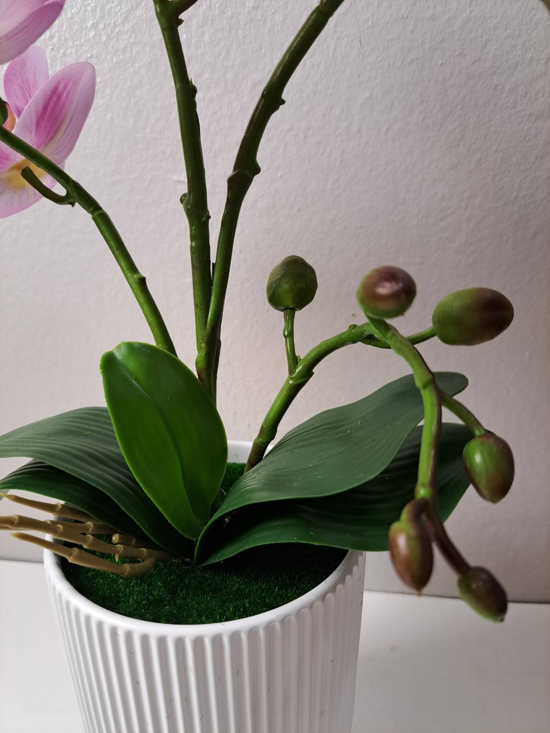 Faux orchid buds and arrangement in white ribbed pot