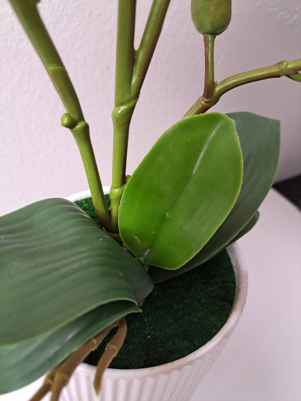Faux peach orchid close-up blooms