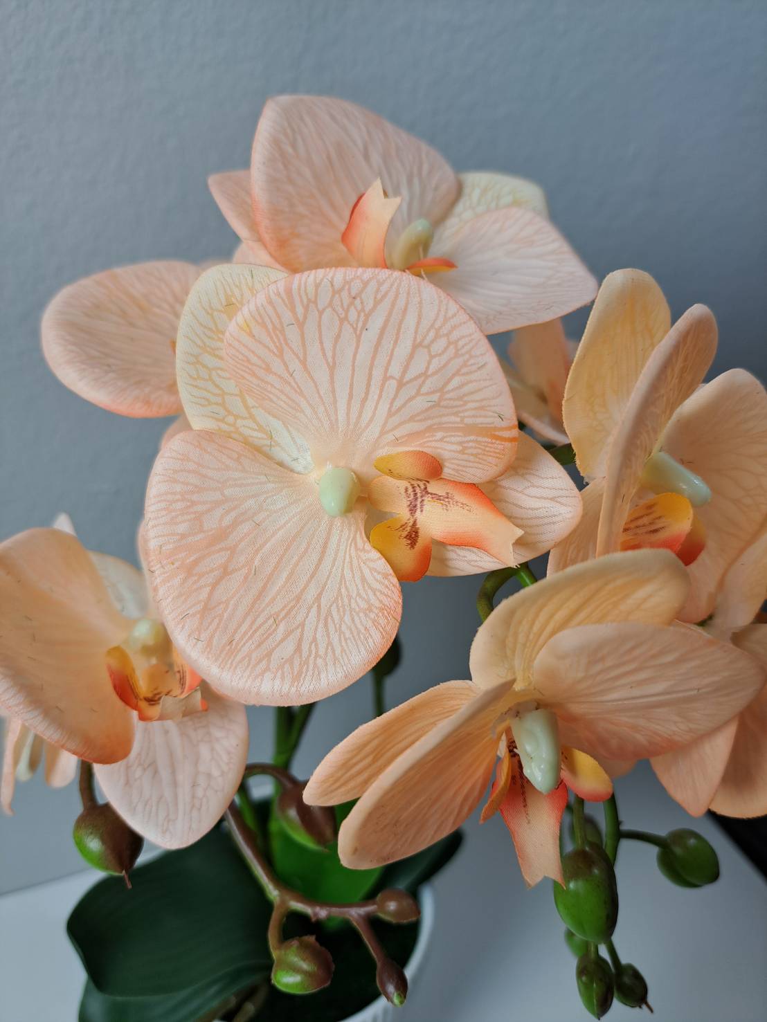 Faux orchid leaves and stems in white ribbed pot