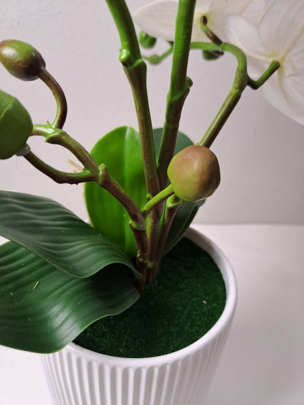Faux white orchid close-up blooms with buds