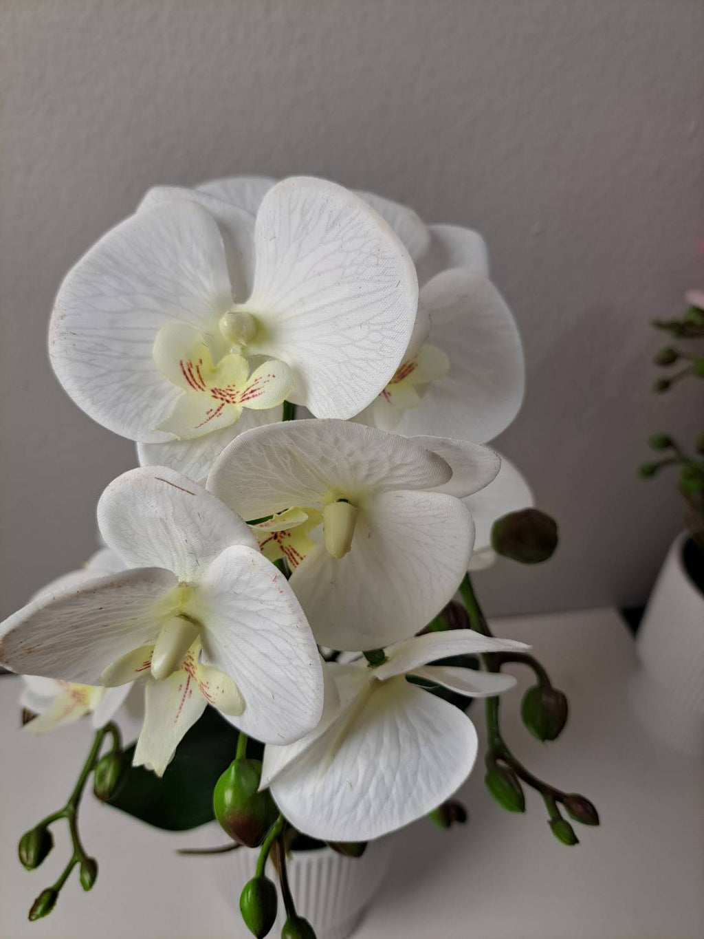 Faux white orchid stems and leaves in white ribbed pot