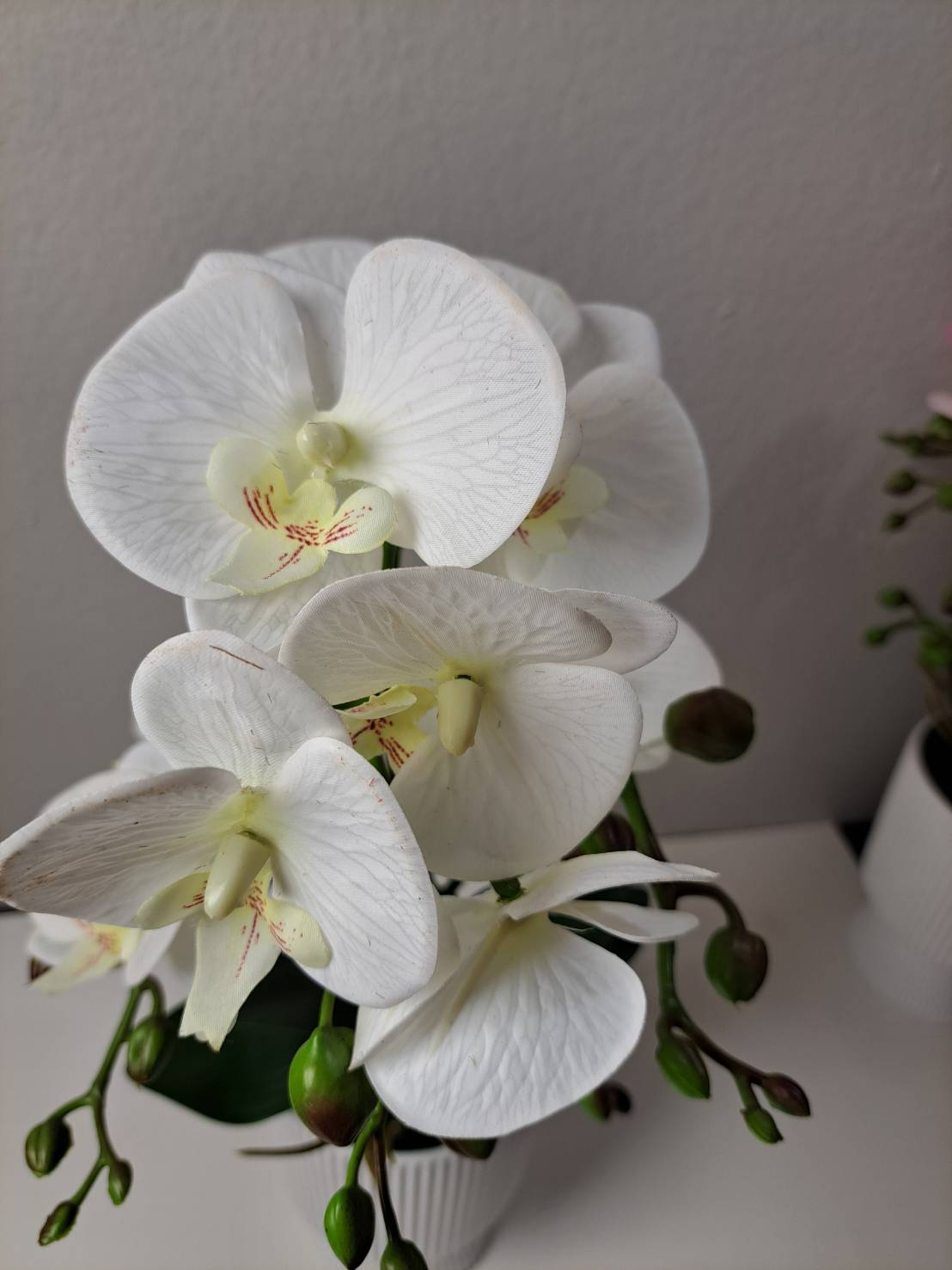 Faux white orchid stems and leaves in white ribbed pot