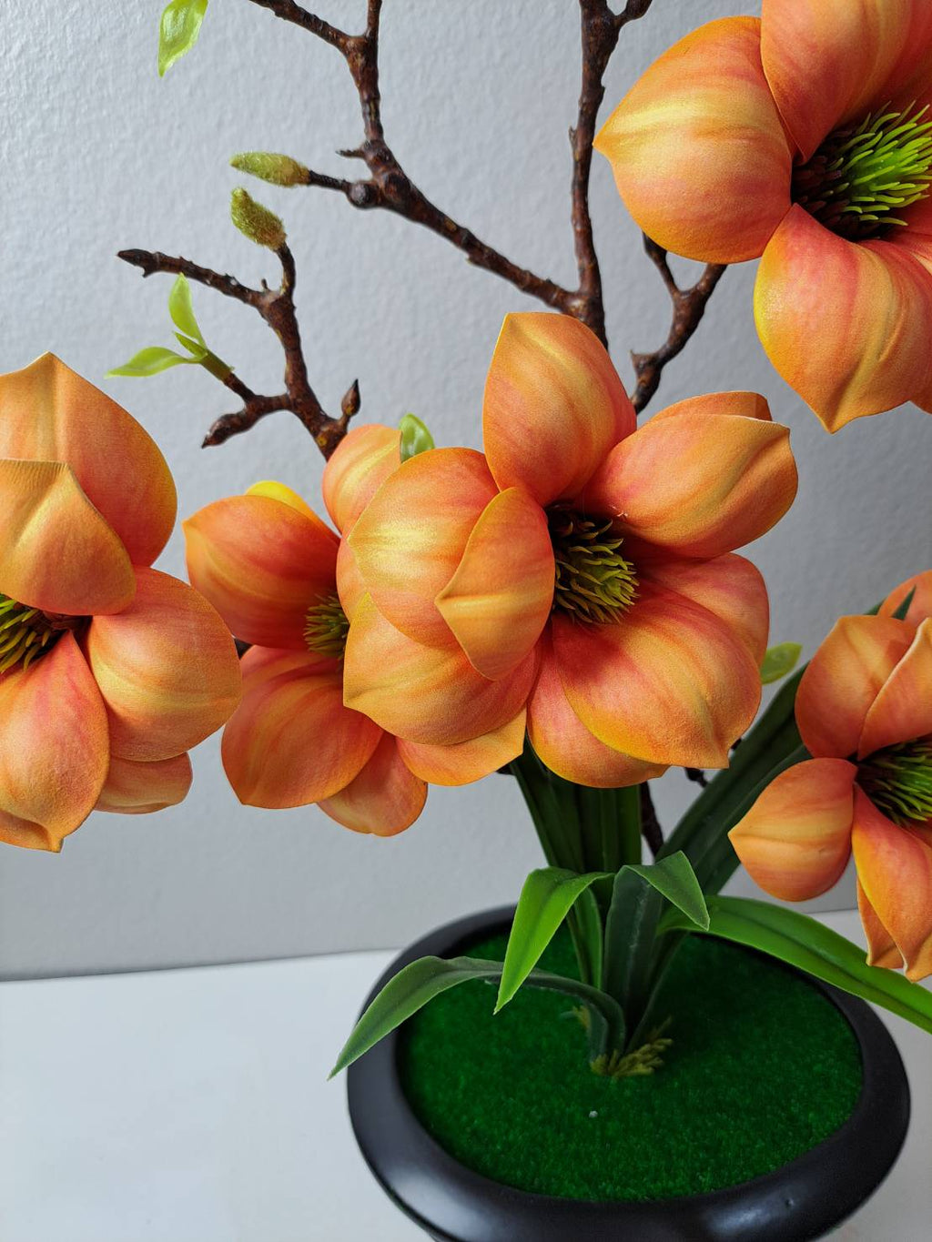 FT-257-A orange magnolia blooms close-up with green stamen centers