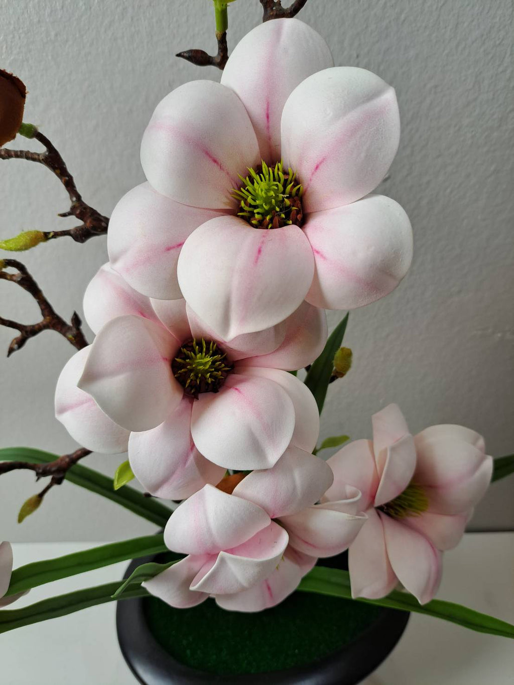 FT-257-B blush pink magnolia blooms close-up with pink veining and green stamen