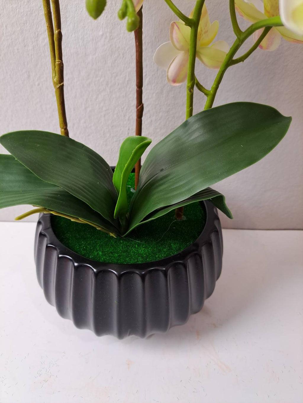 Faux orchid leaves and stems in black ribbed pot