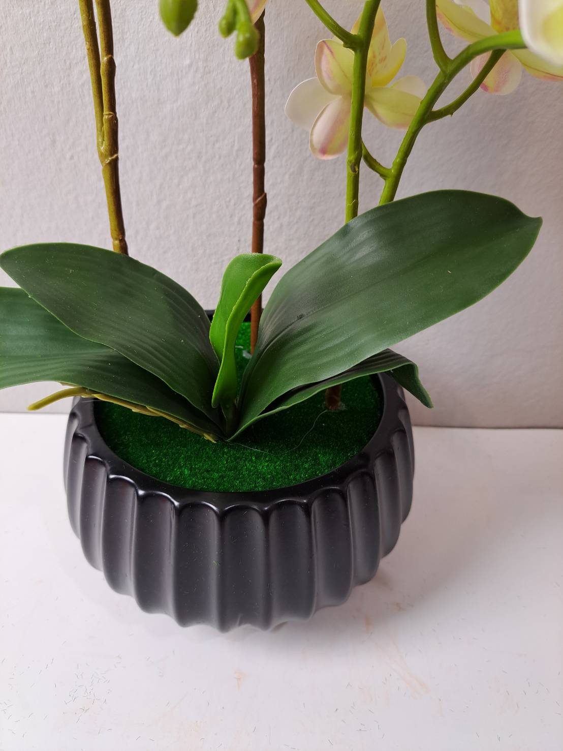 Faux orchid leaves and stems in black ribbed pot