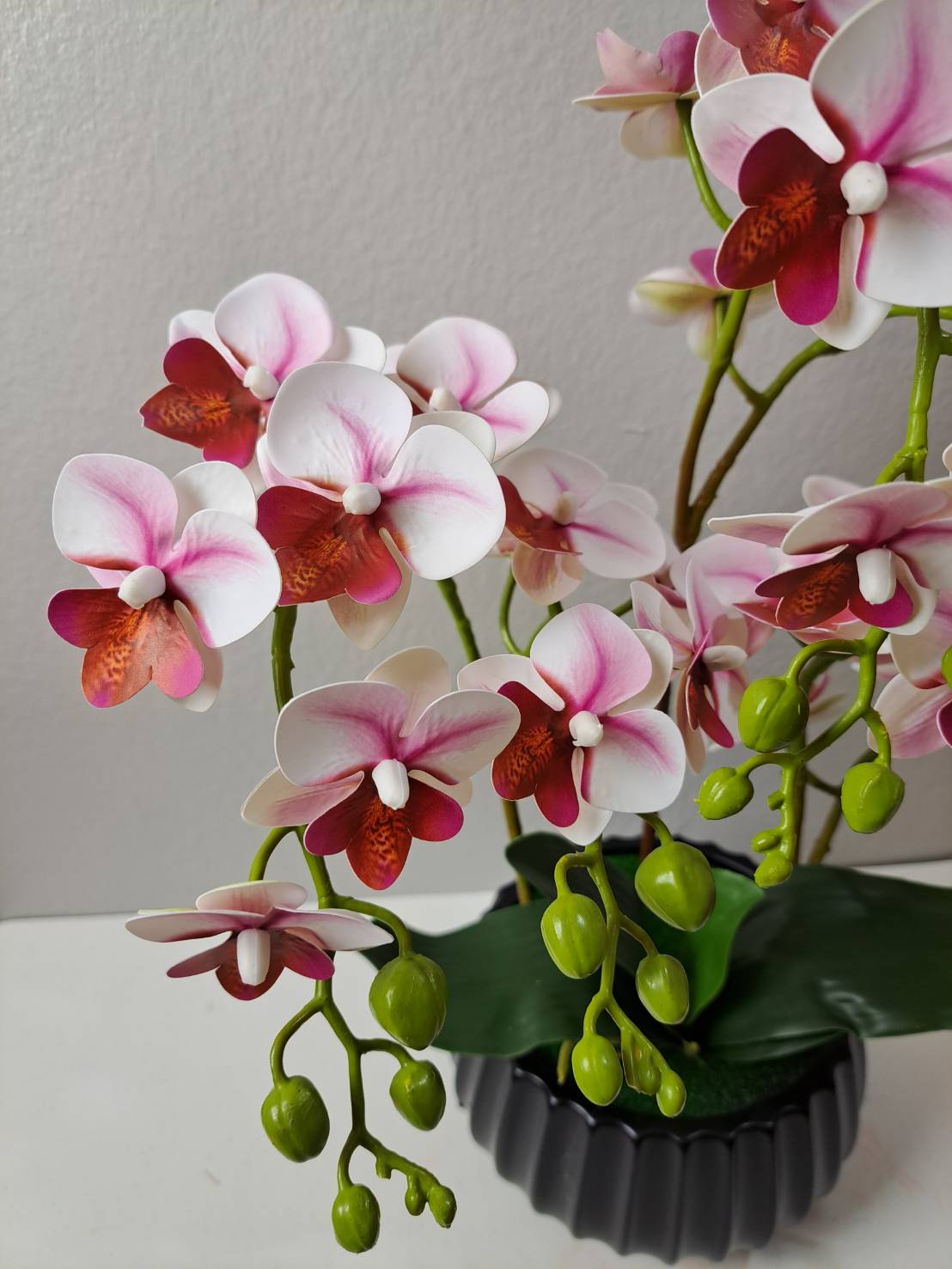 Faux pink burgundy orchid close-up blooms with buds