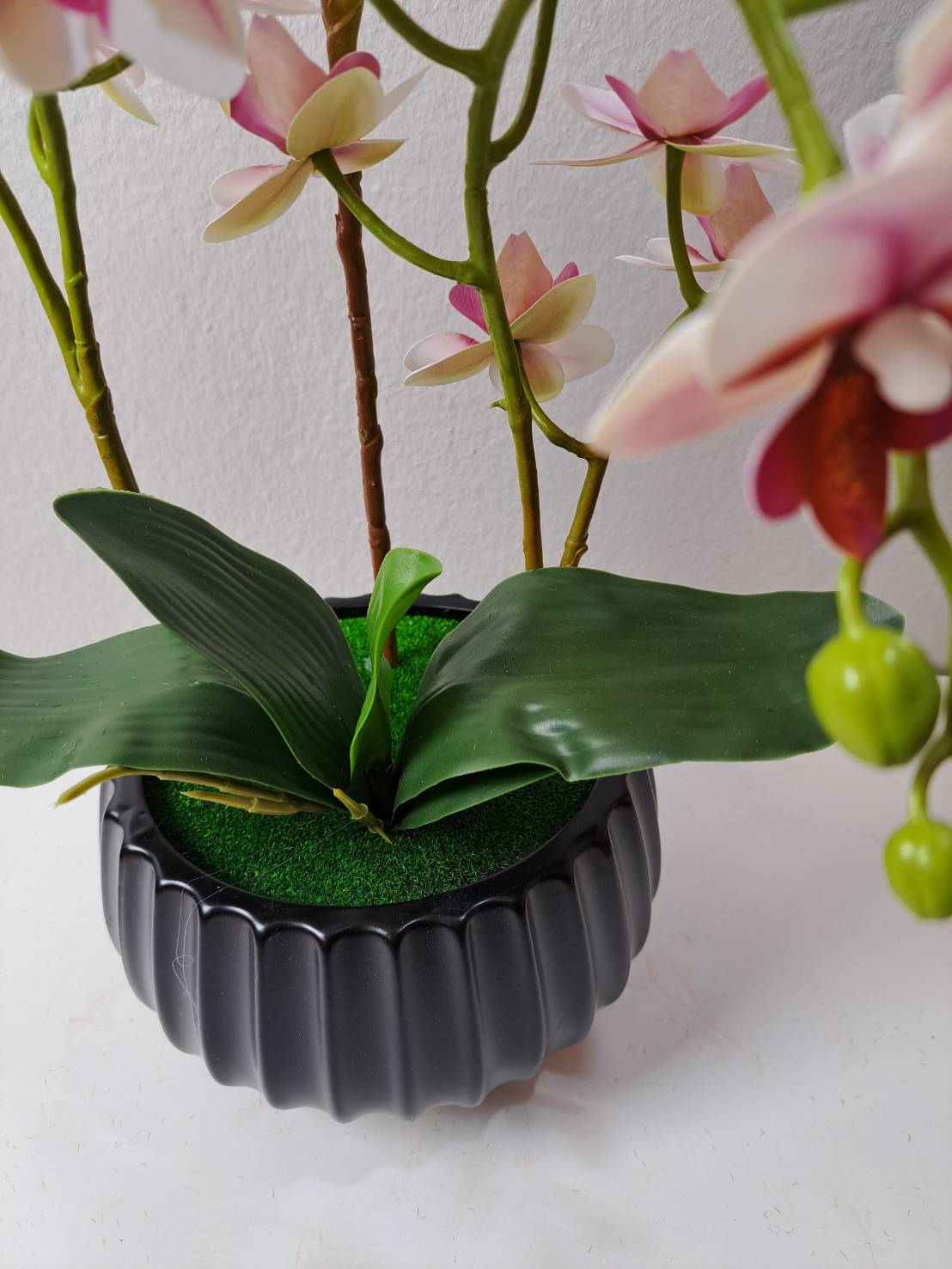 Faux orchid leaves and stems in black ribbed pot