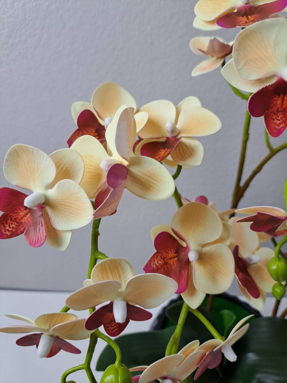 Faux cream burgundy orchid cascading blooms and buds