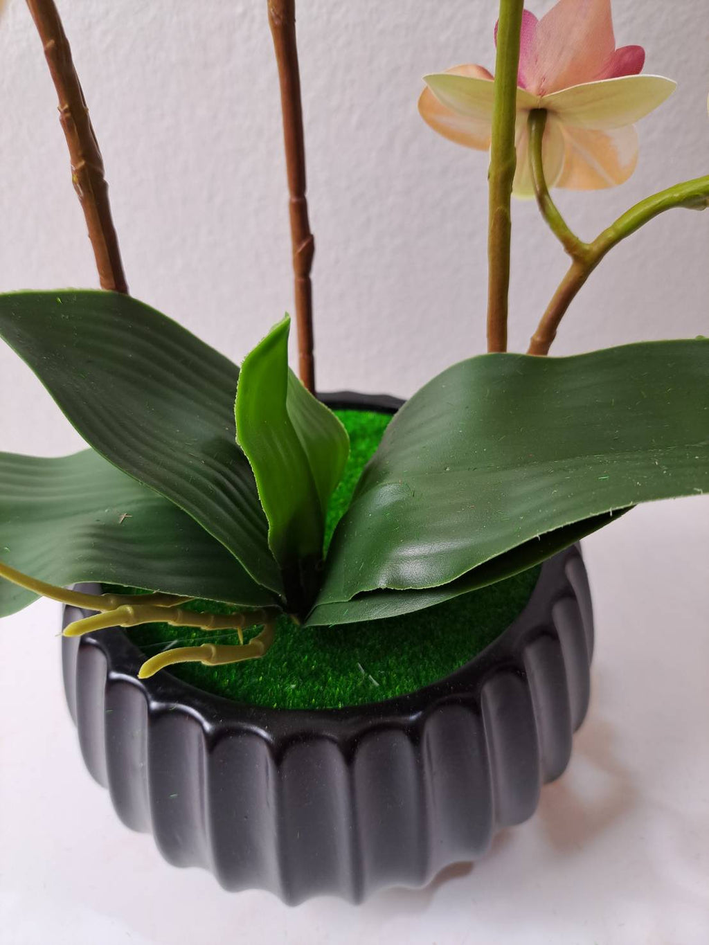 Faux orchid leaves and stems in black ribbed pot