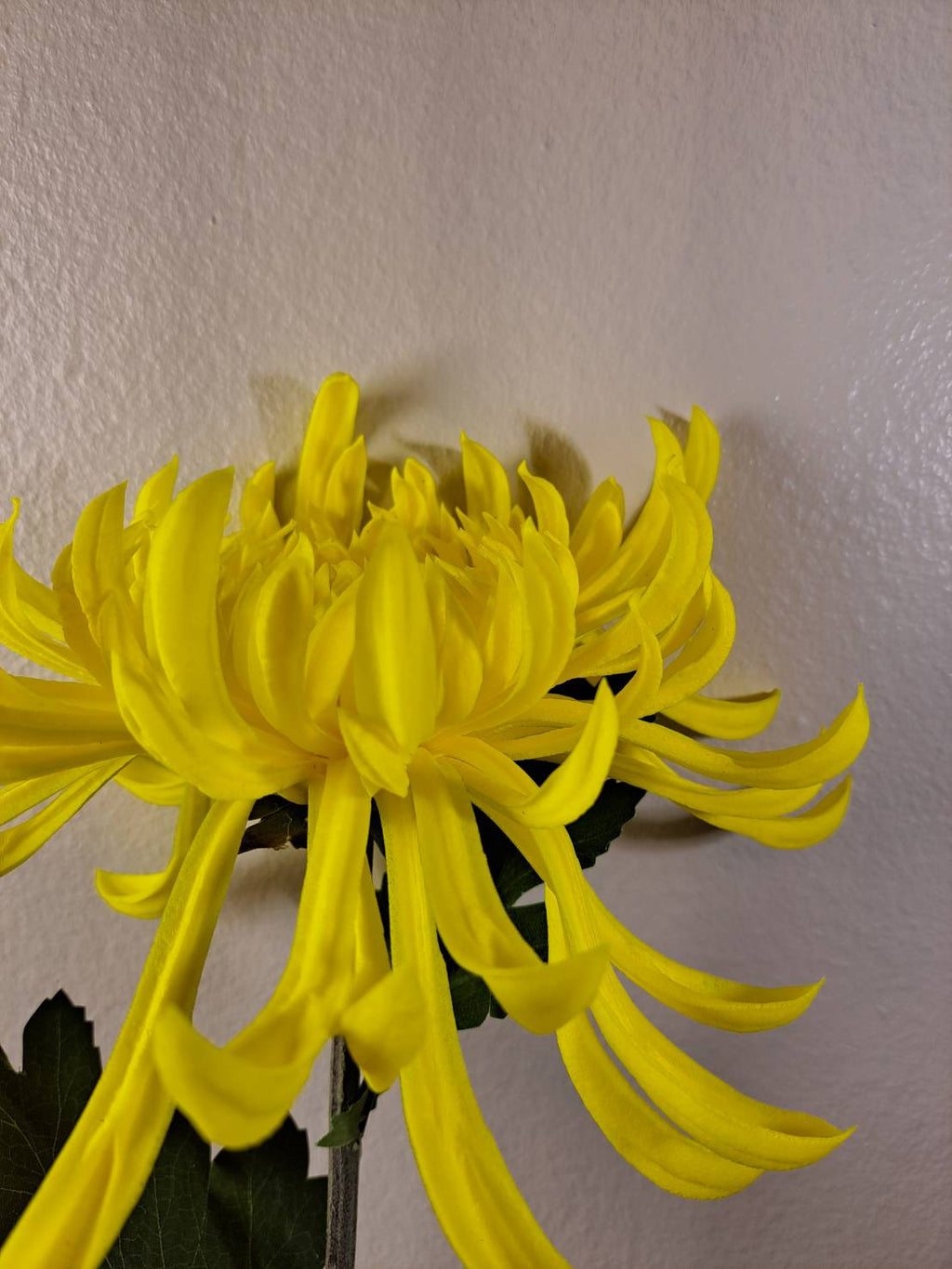 Premium Faux Chrysanthemum Stem – Lifelike Large Bloom