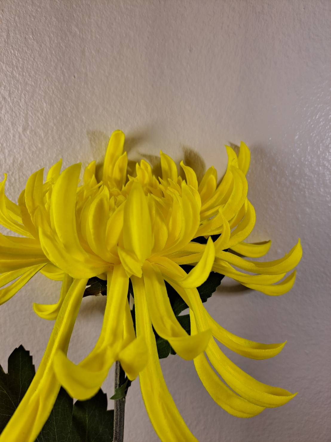 Premium Faux Chrysanthemum Stem – Lifelike Large Bloom