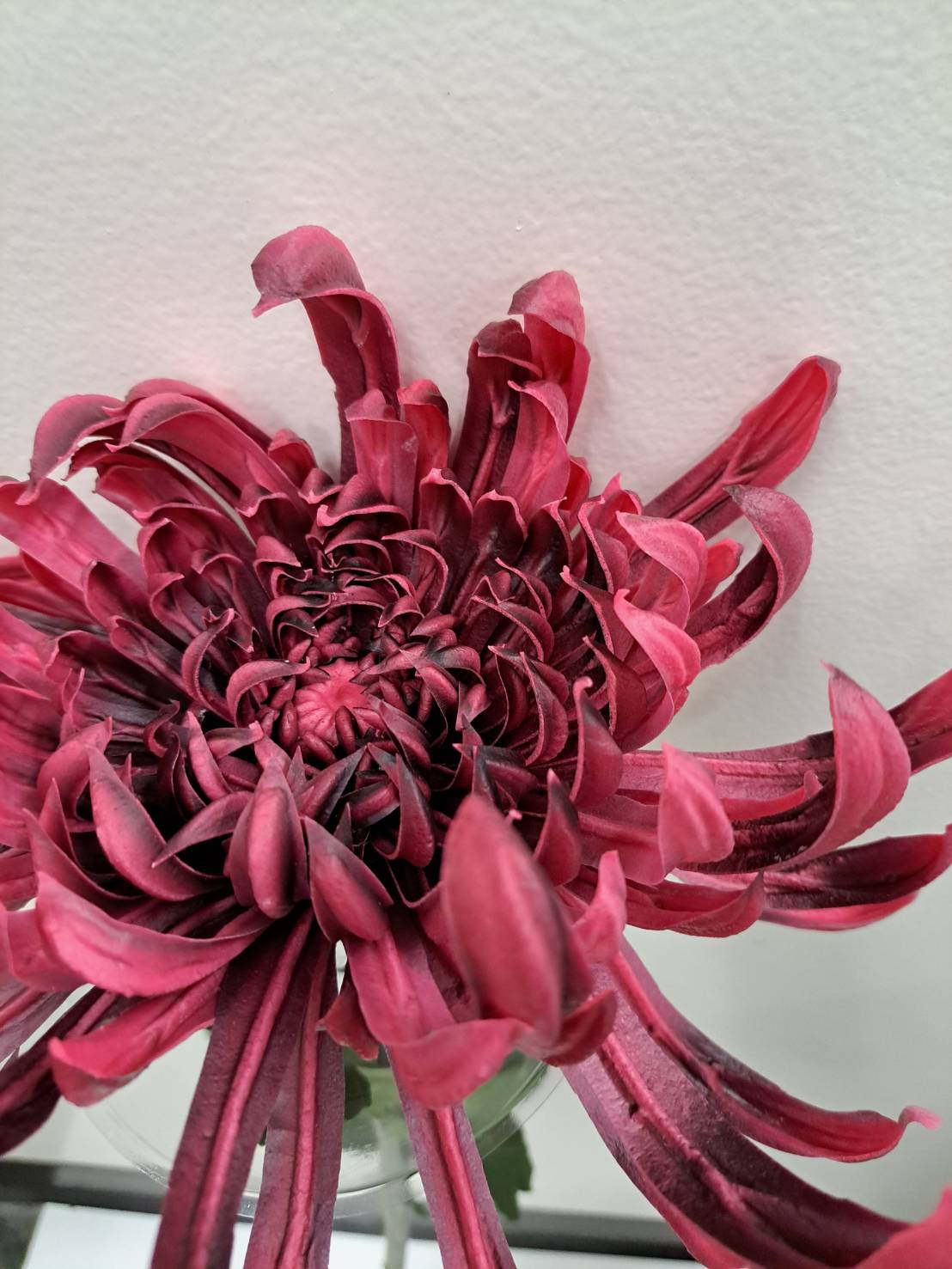 Premium Faux Chrysanthemum Stem – Lifelike Large Bloom