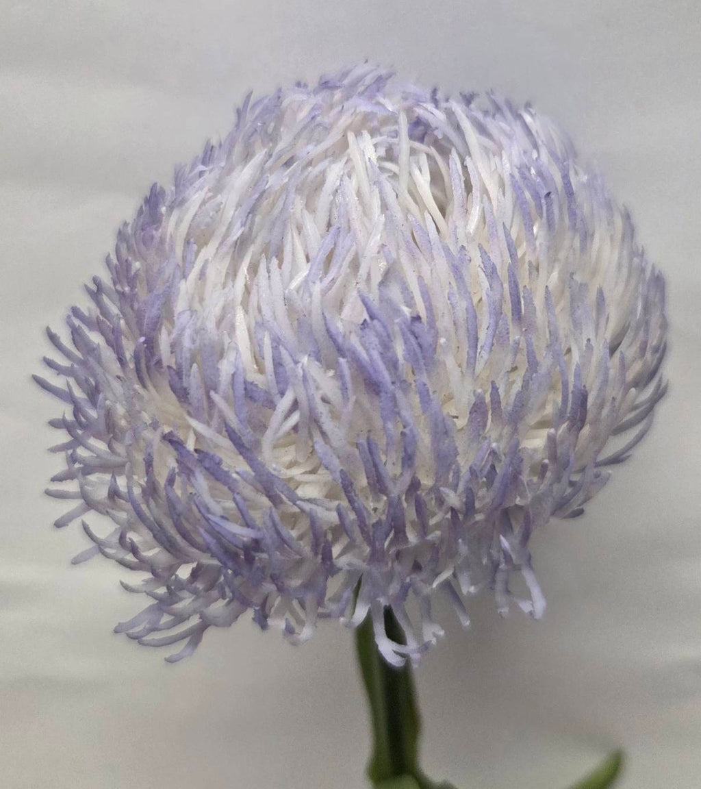 Faux lavender thistle pincushion stem close-up