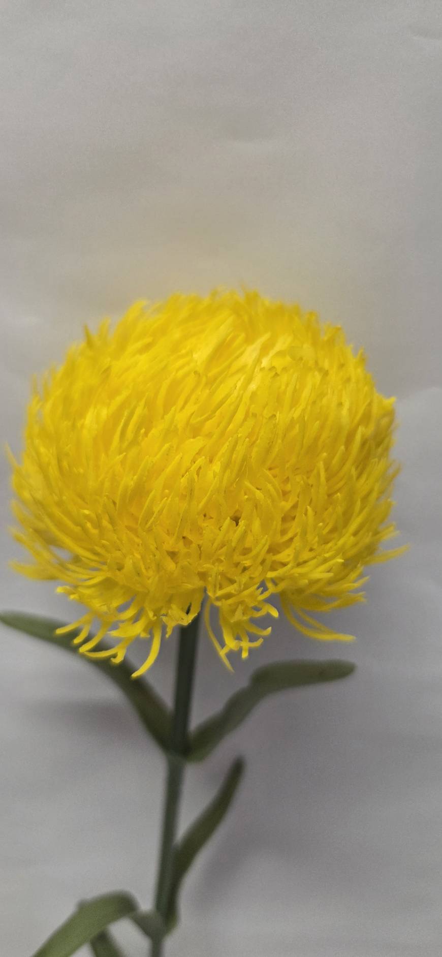 Faux Yellow Thistle Pincushion Stem – Lifelike 24" Artificial Flower