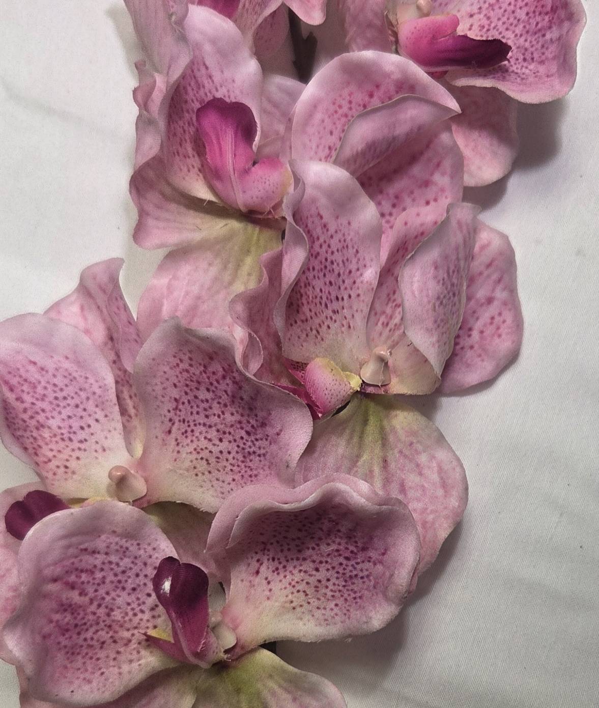 Faux Pink Vanda Orchid Stem ORS-02 - close-up of blush pink vanda orchid blooms with burgundy speckles