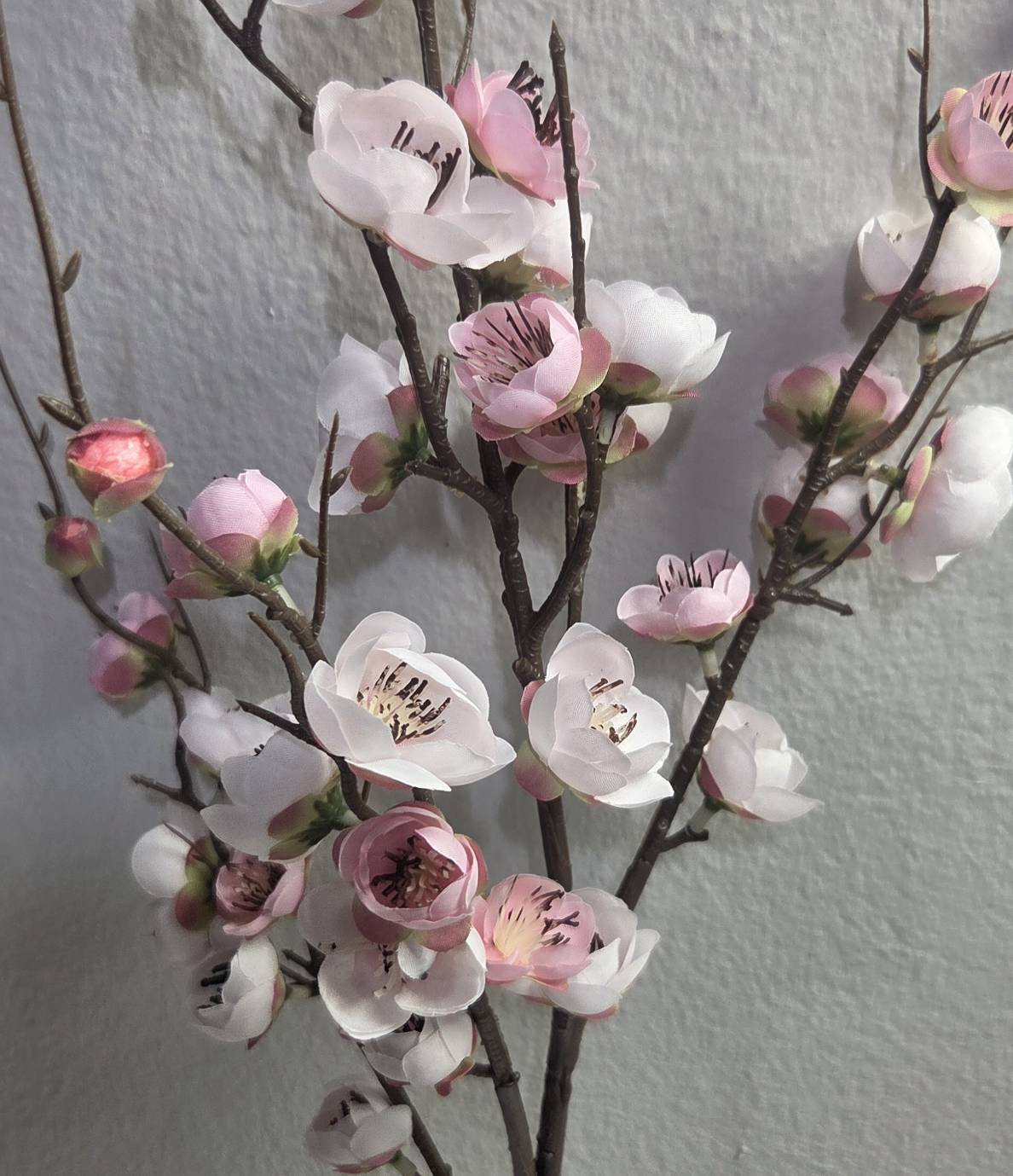 Faux white pink plum blossom branch close up detail