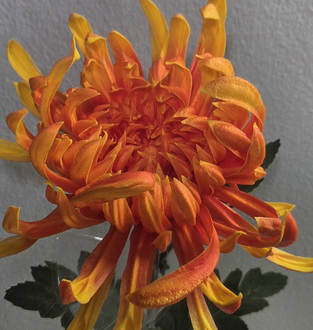 Lifelike 32" Orange Chrysanthemum Stem - Premium Artificial Flower for Elegant Home Decor