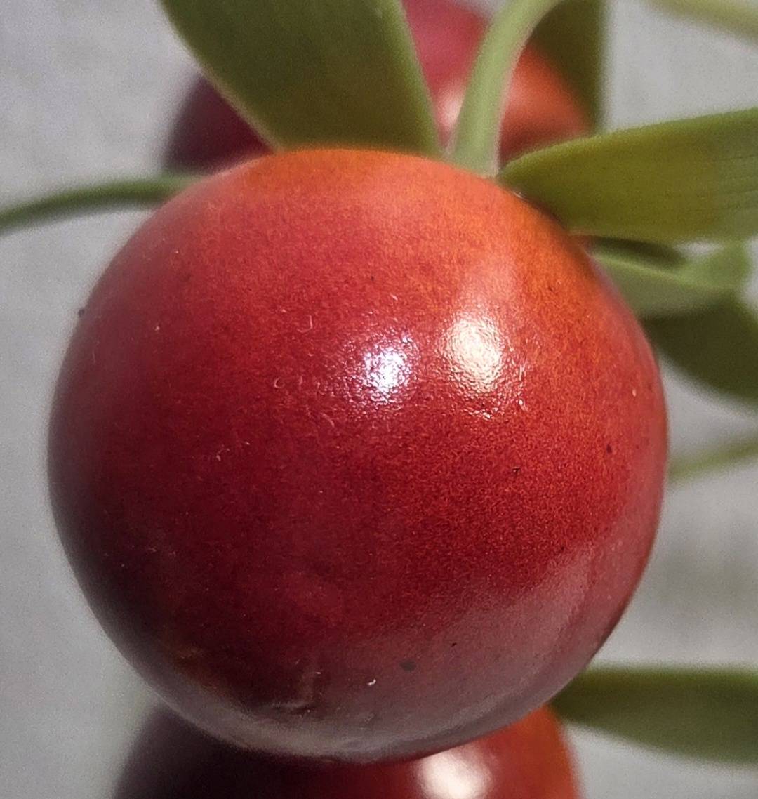 Faux Cranberry Berry Branch – Lifelike Red Stem