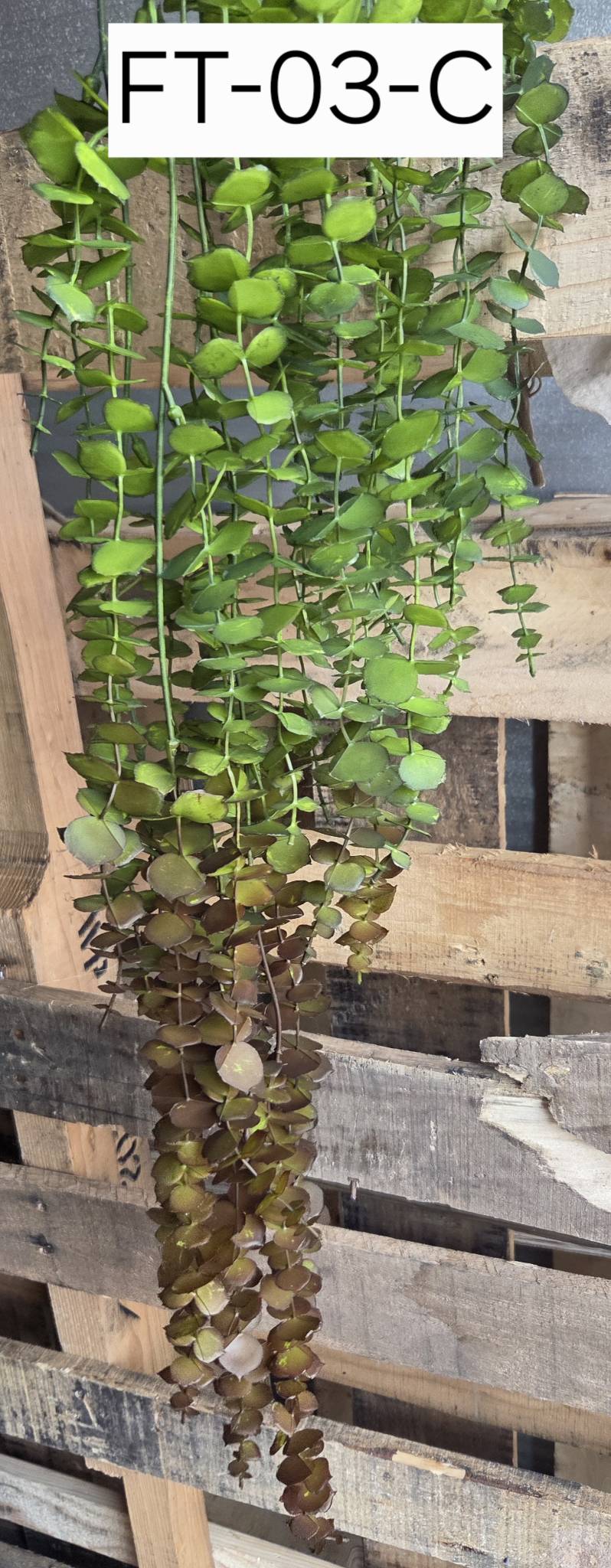 Artificial Hanging Eucalyptus FT-03-C lifestyle