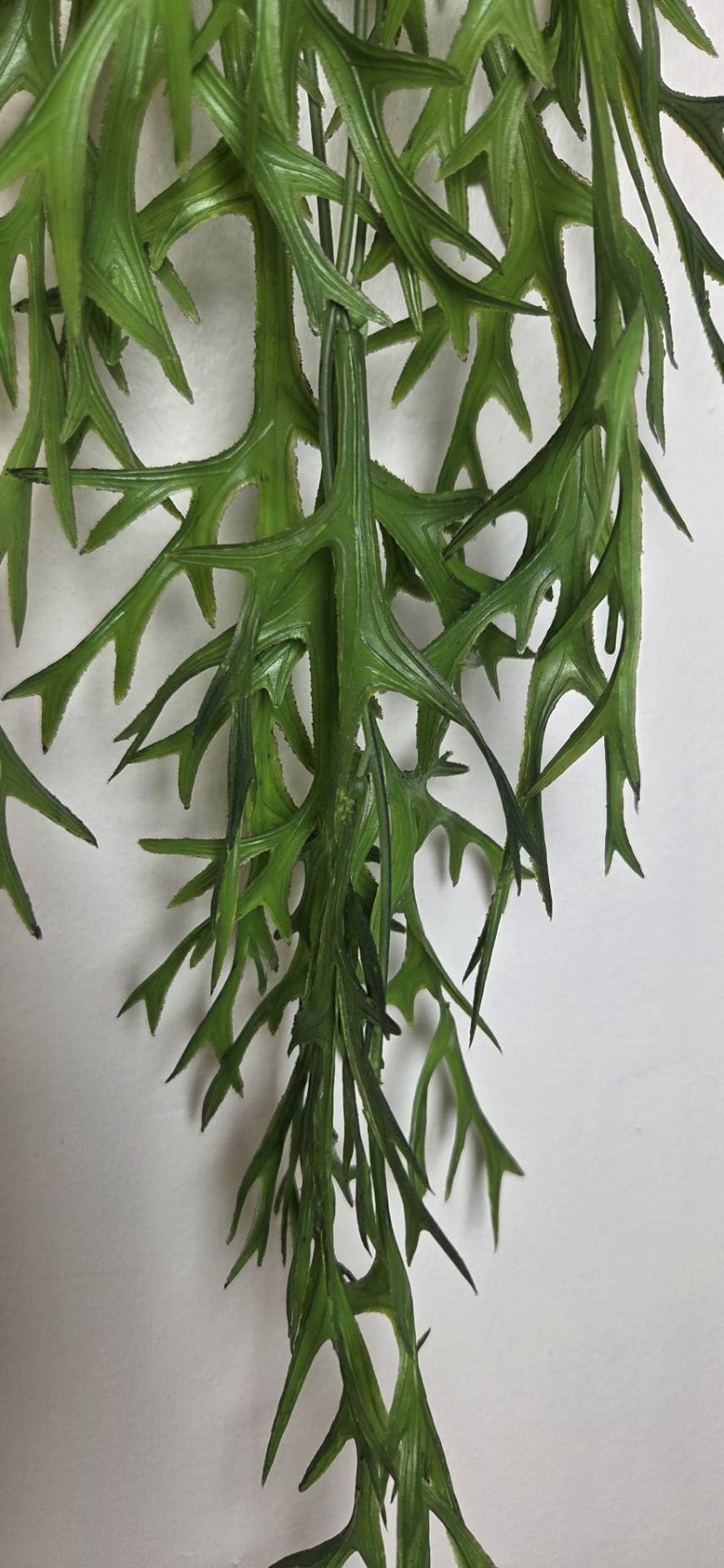 Artificial Hanging Staghorn Fern FT-06-B 3 colors