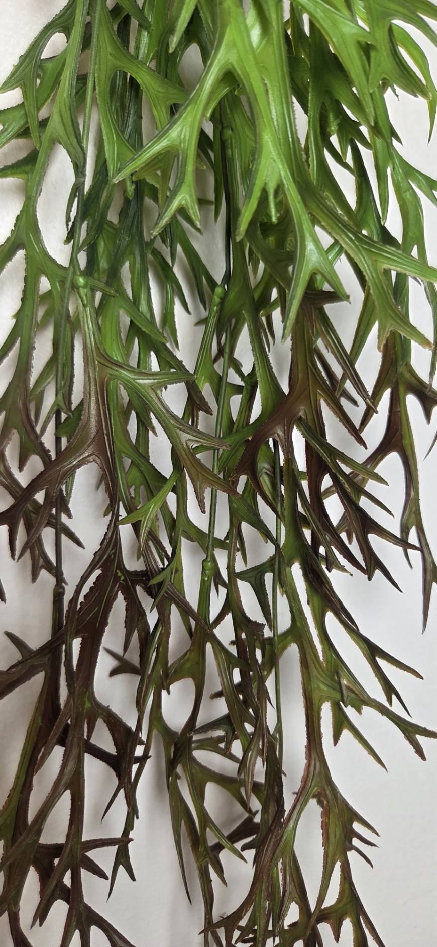Artificial Hanging Staghorn Fern FT-06-C 3 colors