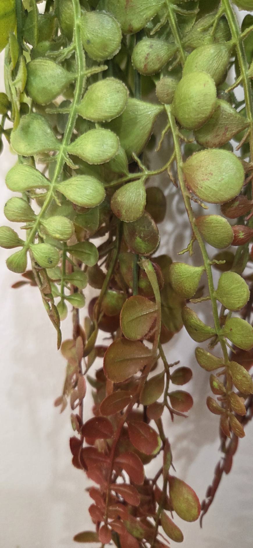 Artificial Hanging String of Pearls 40 inch FT-09-A - close-up bloom and detail