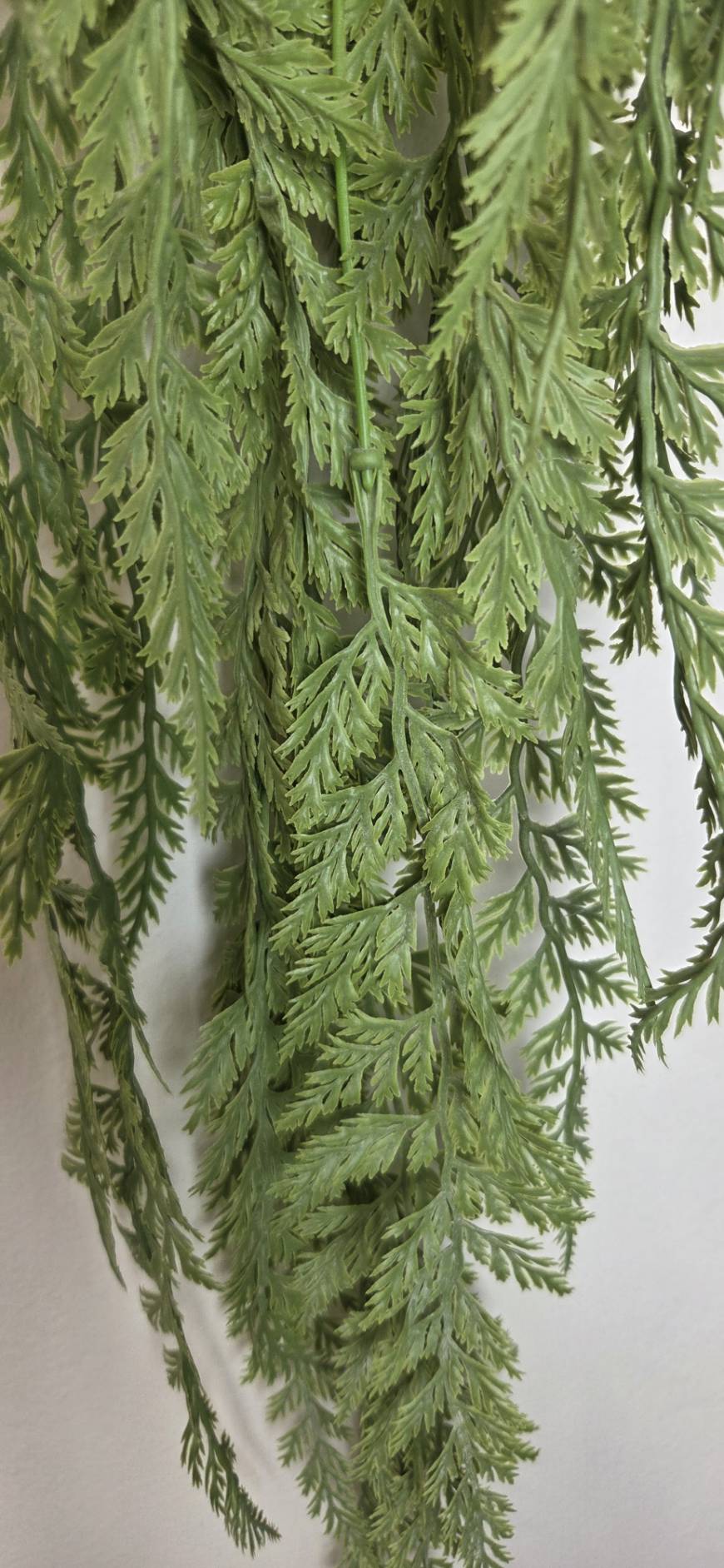 Artificial Hanging Asparagus Fern FT-02-A closeup of feathery fronds
