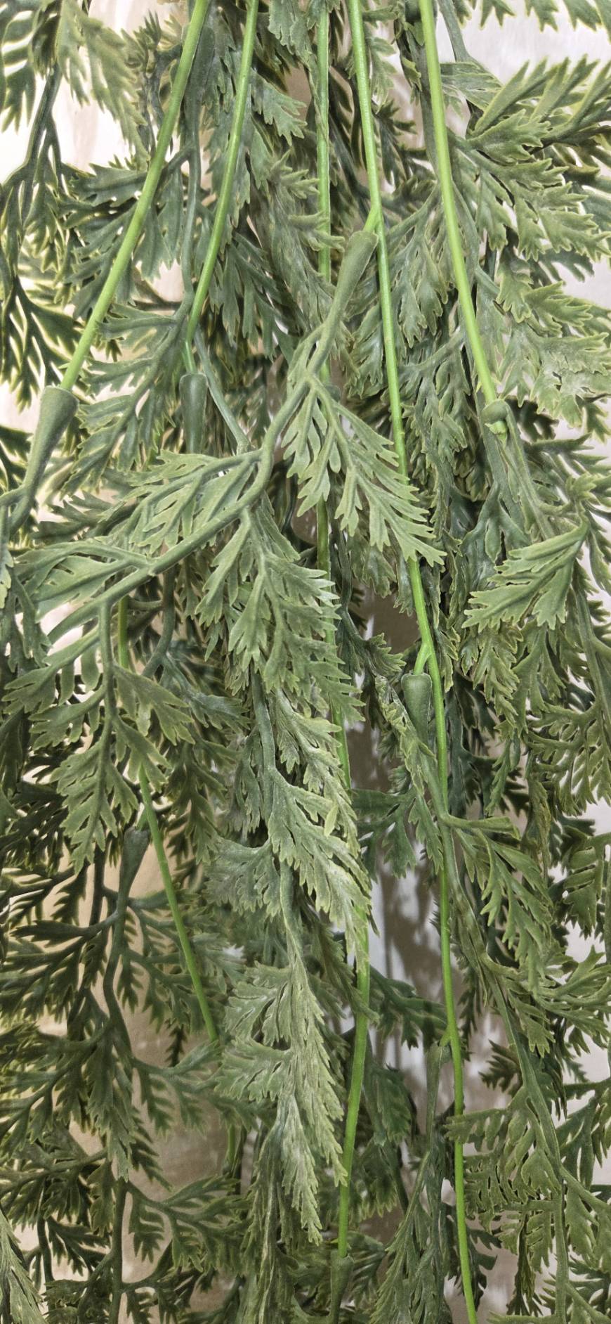 Artificial Hanging Asparagus Fern FT-02-B closeup