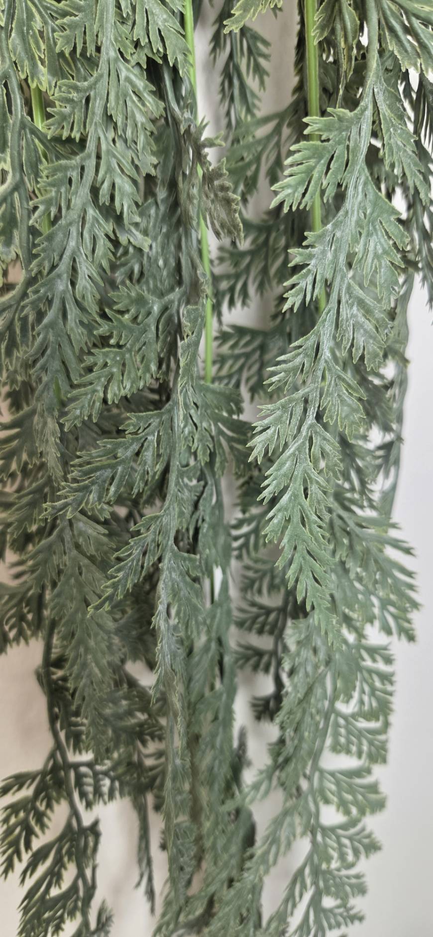 Artificial Hanging Asparagus Fern FT-02-C closeup