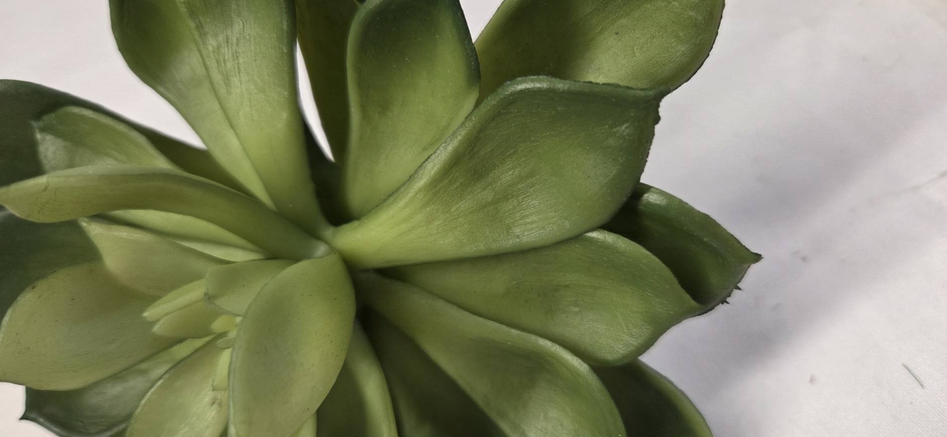 Faux Echeveria Succulent Stem SUC-02 side view - artificial dark green echeveria succulent with realistic textured stem on white linen background