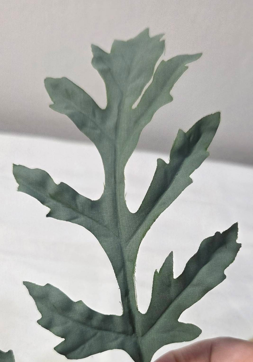 Close-up of deeply lobed sage-green poppy leaves with realistic vein detail - PPY-04