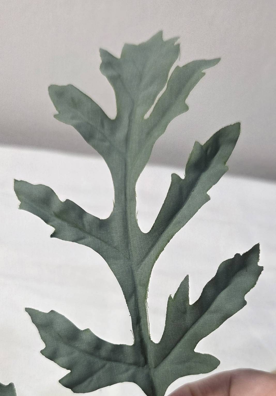 Close-up of deeply lobed sage-green poppy leaves with realistic vein detail - PPY-04