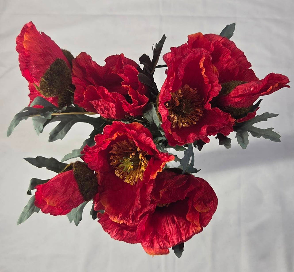 Close-up of deeply lobed sage-green poppy leaves and dark velvety buds - PPY-01