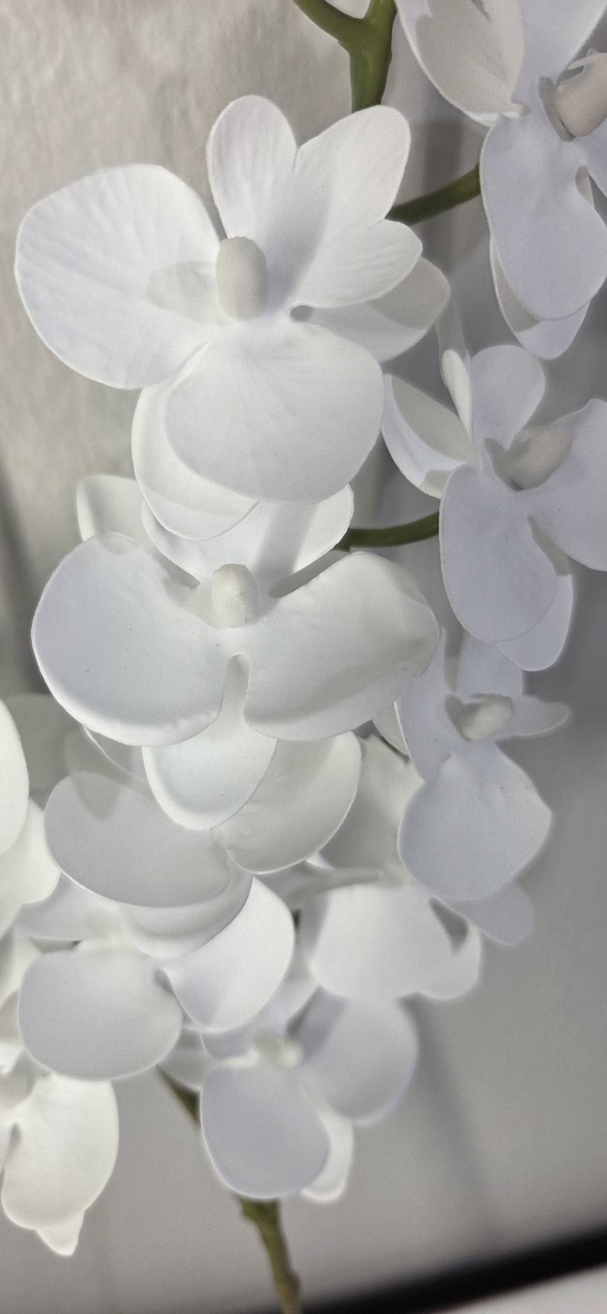 Faux White Phalaenopsis Orchid Stem OCT-01 - close-up detail of white phalaenopsis orchid blooms