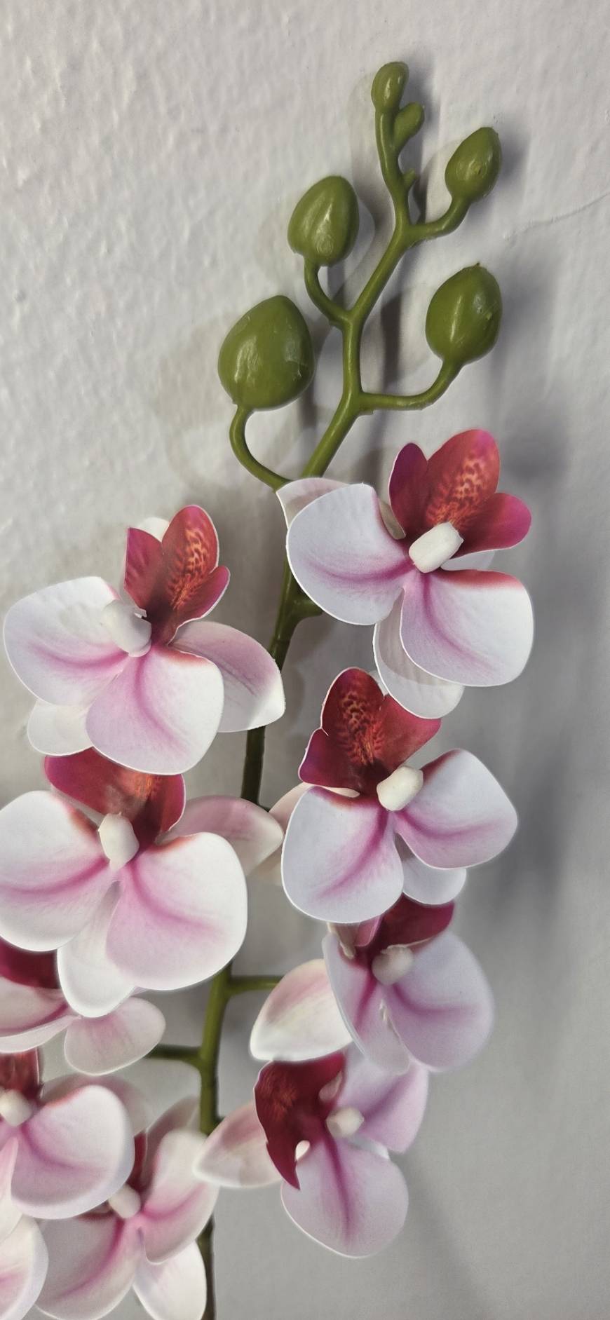 Faux Pink Phalaenopsis Orchid Stem OCT-02 - close-up of pink and burgundy phalaenopsis orchid blooms