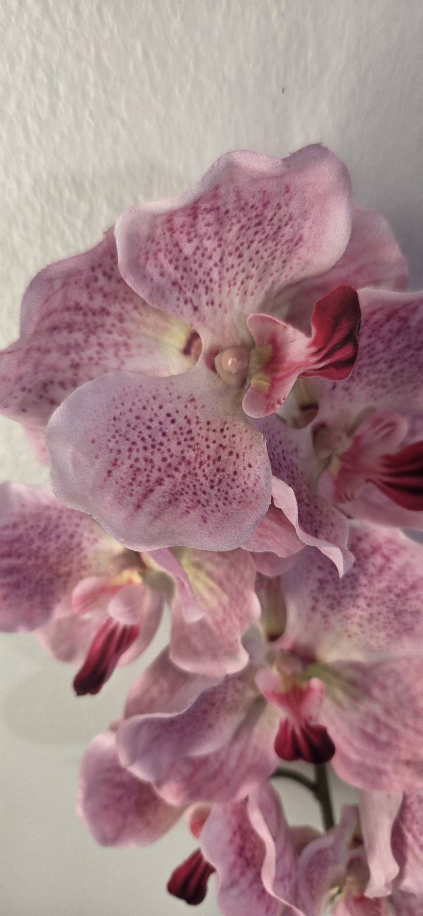 Faux Pink Vanda Orchid Stem ORS-02 - detail of ruffled pink petals with speckled pattern and yellow-green center