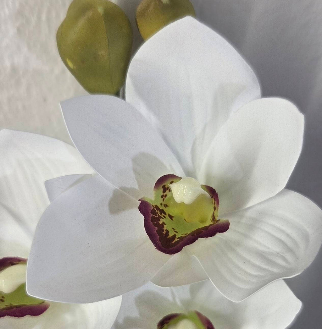 Faux White Cymbidium Orchid Stem ORA-01 - close-up of white cymbidium orchid blooms with olive green centers
