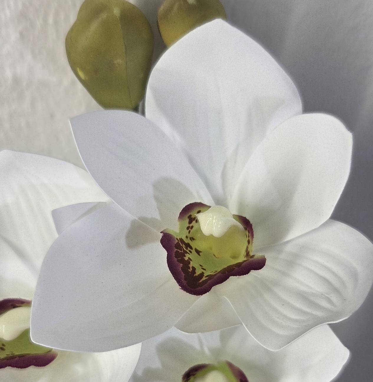 Faux White Cymbidium Orchid Stem ORA-01 - close-up of white cymbidium orchid blooms with olive green centers