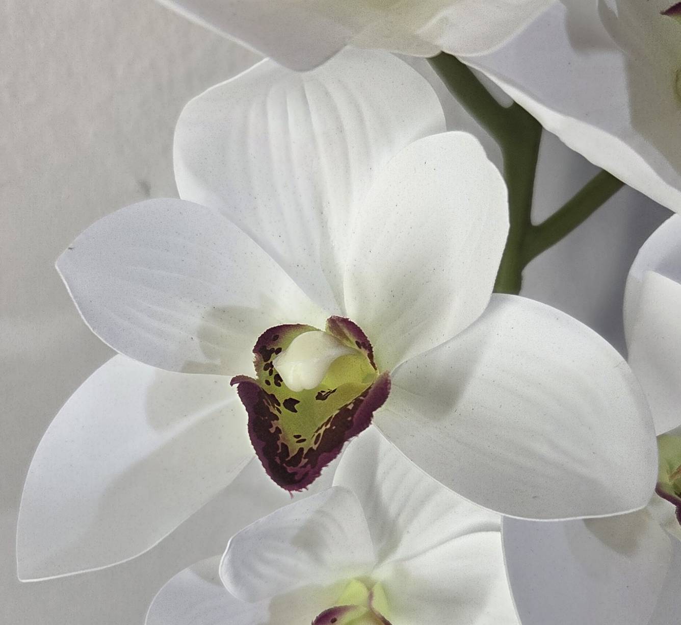 Faux White Cymbidium Orchid Stem ORA-01 - detail of white petals with burgundy speckled center