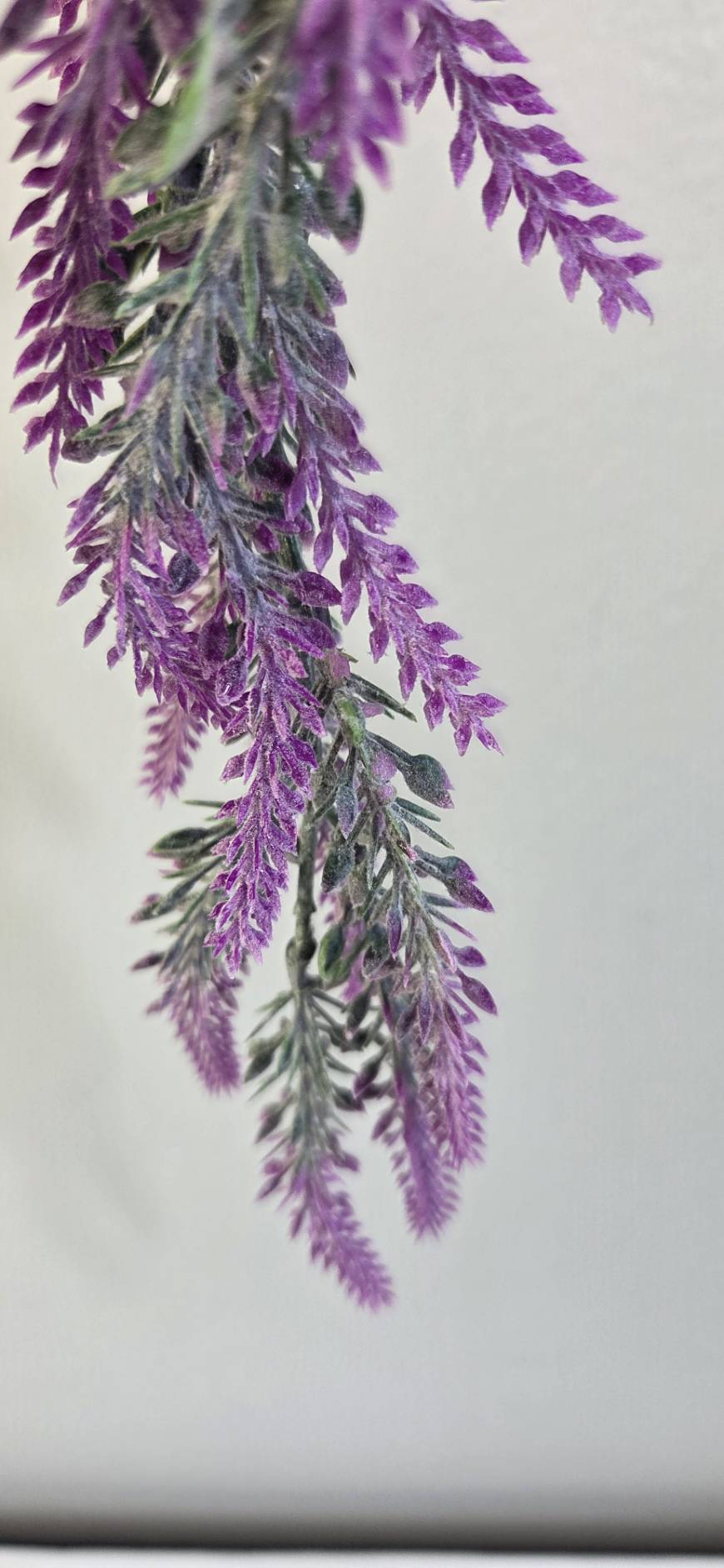 Faux Purple Gray Trailing Greenery Bunch FT08-B - close-up purple foliage detail