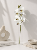 Faux White Cymbidium Orchid Stem ORA-01 - styled in tall glass vase on white table with ceramic decor