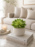 Faux Echeveria Succulent Stem SUC-01 lifestyle - artificial green echeveria succulent in white ceramic pot on marble coffee table with Kinfolk books in modern living room