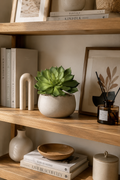 Faux Echeveria Succulent Stem SUC-02 lifestyle - artificial dark green echeveria succulent in white ceramic bowl pot on wooden shelf with Kinfolk books and home decor accessories